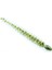 Leech 3" #474C Electric Baby Bass 1