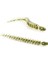 Leech 3" #474C Electric Baby Bass 2