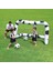 2.13M x 1.17M x 1.25M Futbol Ağı 1