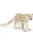 Kar Leoparı 1