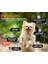 Canine Probiyotik Prebiyotik 2gr x 30 Şase 2