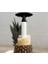 Vin Tomorrow's Kitchen (Şimdiye Kadar Vacu Vin) Ananas Kesici – Orijinal 4
