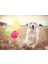 Puzzle Balon Partisi 2