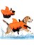 Hai Dog Can Yeleği, Güzel Can Yeleği, Köpekbalığı, Göz Alıcı Can Yeleği, Köpek Turuncu, M 1