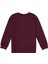 Erkek Çocuk Plum Sweatshirt 50314939-VR177 2