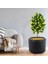 Saksı Büyük Bitki Ağaç Saksısı Büyük Boy Saksı Fırınlanmış Statik Boyalı Boy 46 cm Çap 60 cm 4