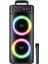 8.0"x2 Kablosuz Mifrofonlu Ledli Bluetooth Hoparlör Bts-68 1