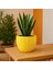 Duvar Desenli Beton Saksı - Sarı - 13,5X12,5 cm 1