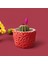 Halka Desenli Beton Saksı - Turuncu - 7x9 cm 2