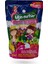 Fruit Punch Elmalı, Çilekli, Muzlu, Ejder Meyveli, Karışık Meyveli Içecek 200 ml 1 Adet 1