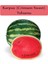 Organik Karpuz Tohumu 1 Paket (10GR=100+ Adet) Crimson Sweet Karpuz Tohumu 1