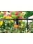 90772 Terrazzo Drıp Kıt Damlama Sulama Seti 25 Metre 3