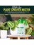 Products Pompalı Basınçlı Püskürtücü - Ot Öldürücü Püskürtme Pompası, Gübre, Böcek Ilaçları, Mantar Ilaçları, Temizlik Için - Plastik Püskürtücülü Bahçe Püskürtücü - Su Püskürtme Şişeleri - (2 3