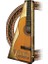Elektro Klasik Gitar 4/4 Kılıf Pena 3