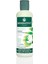 Moringa Repair Shampoo Şampuan, 260 ml 2