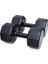 Spor 10 kg Dambıl x 2 Adet = 20 kg 1