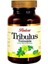 Tribulus Terrestis Kapsül 620 Mg*60 1 Paket(1 x 1000 G) 1