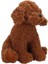 Bfs 4805 Poddle Köpek Peluş 33 cm -Sunman 4