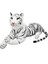 Bfs 1398 Sunman Peluş Kaplan Yatan 90 cm 1