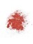 Profashion Crush Blush 304 2