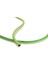 Comfort Line 20 M Bahçe Hortumu, Esnek, Yeşil, Çap: 13 mm (½ Inç), Su Hortumu, Basınca Dayanıklı, Bahçe Için Sağlam Hortum, Sulama Hortumu 1/2 Inç, Yeşil-Sarı, 18475 5 2
