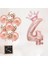 Rakam Rose Gold Folyo Balon, Kral Tacı ve Konfetili Rose Gold Balon 2