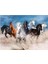 Focus Horses (Atlar) - Puzzle 1000 Parça 2