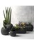 5 Parça Mercan Kaktüs Saksı Seti Plastik Sukulent Saksısı Set (Antrasit) 1