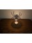 Cadılar Bayramı Minik LED Mumluk 12CM Örümcek 1