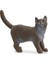 British Shorthair Kedi, Oyuncak Figür 1
