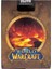 World Of Warcraft Premium Özel Üretim Oyun Kartları 2