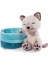 47893 Soft Basket 12 cm – Sleeping Pets Cuddly Toy Siamese Cats For Girls, Boys &amp; Babies – Fluffy Stuffed Cuddle, Play &amp; Sleep With – Cosy Plush Animals, Paws, Beige 2