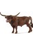 13866 T Longhorn Boğa, Renkli 1