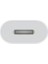 Type-C To Lightning Şarj Çevirici iPhone Uyumlu USB C Adaptör (Sadece Şarj Için) - (SW-TL01) 2