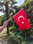 80 Adet 20x30 Sopalı Türk Bayrağı 120 G/m² | raşel , dijital Baskı, sopalı kumaş türk bayrağı 2