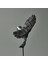 Deco Uccello Dekor - Siyah / Gümüş - 32 cm 3