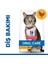 Hills Oral Care Tavuklu Ağız ve Diş Sağlığı Için Yetişkin Kedi Maması 1.5 kg 1