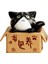 Güzel Kutu Karikatür Kedi Minyatür Manzara Dekor Bonsai Reçine El Sanatları Süsleme (Yurt Dışından) 1