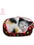 Uyuyan Kedi Yuvalama Kafesi Peluş Bebek Ev Dekorasyon Çocuklar Hediye (Yurt Dışından) 3