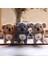 Peluş Anahtarlık Asılı Tasarım Doldurulmuş Hayvan Peluş Bebek Kolye (Yurt Dışından) 5