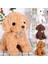 Gerçekçi Kıvırcık Peluş Köpek Yavrusu Dolması Bebek Ev Kanepe Araba Dekor Kız Hediye (Yurt Dışından) 2