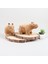 20 cm Kapibara Kemirgen Peluş Bebek Hydrochoerus Hydroch Yumuşak Dolması Karikatür Peluş Oyuncaklar Çocuk Hediyeler Için (Yurt Dışından) 4