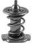 TH37585 Termostat 210821306010 210901306010 21091306010 1