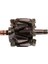 83669901 Alternator Rotoru 83669901 1