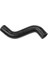 R16132 Radyator Hortumu Ust 5006016 6051492 77FB8260AC 1