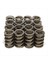 Ls Valve Springs PAC1218-16 Gm Için Ls1 Ls2 Ls3 Ls6 4 8 5 3 6 0 6 2l - 600INCH Asansör (Yurt Dışından) 4