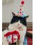 Kedi Parti Kutusu 3'lü Set | Parti Şapkası, Peluş Pasta, Peluş Hediye Kutusu 4