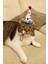 Kedi Parti Kutusu 3'lü Set | Parti Şapkası, Peluş Pasta, Peluş Hediye Kutusu 6
