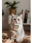 Kedi Lolipopu Balkabaklı 1,5 Gr(1 Adet) 2