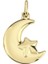 14 Ayar Ay Yıldız Altın Kolye Ucu 1